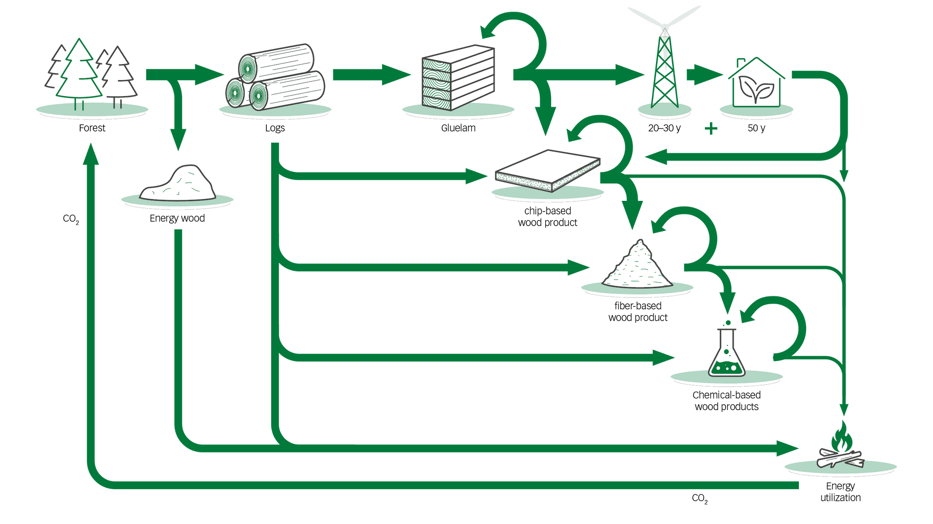 hnt-green-tower-infografik-kaskade-der-holznutzung-1920x1080px-en-20240920-final